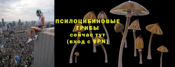 СК Бородино