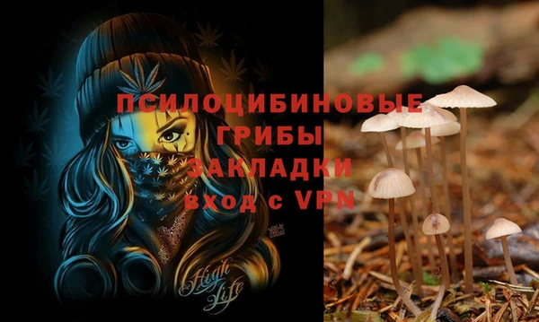 мдма Бердск