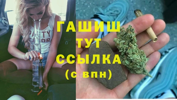 ПСИЛОЦИБИНОВЫЕ ГРИБЫ Медвежьегорск