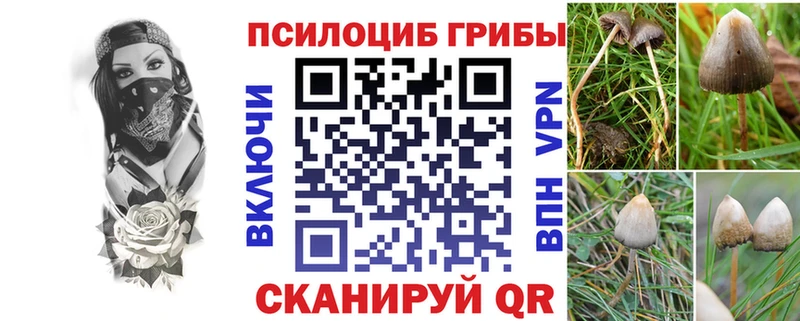 ОМГ ОМГ вход  Верхоянск  Псилоцибиновые грибы мухоморы 